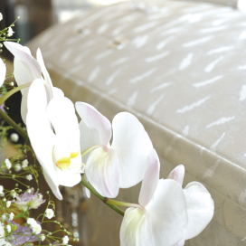 シンプル家族葬プラン